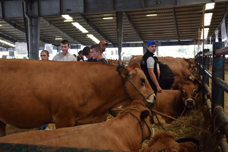 Les épidémies coupent le département en deux, rendant la participation aux concours d'animaux très complexe.