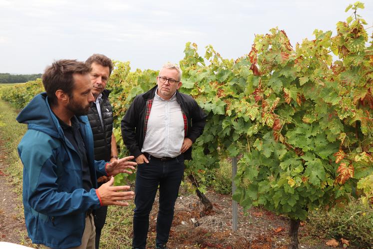 Jehan Kappes Grange, viticulteur et membre du Conseil scientifique et technique du BNIC ; Florent Morillon, représentant la Fédération des interprofessions du bassin viticole Charentes-Cognac et Vincent Lang, directeur du pôle de développement durable du BNIC (ex-Station viticole).