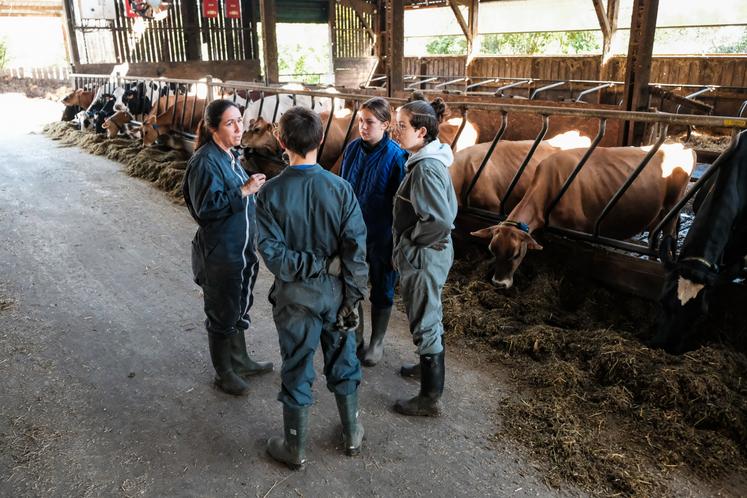 Un projet de déménagement de l'exploitation du lycée agricole de Venours est lancé.