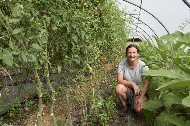 Dans son Jardin du Kikiwi, Marion Lacourarie cultive toutes sortes de légumes, et notamment des tomates sous serres.
