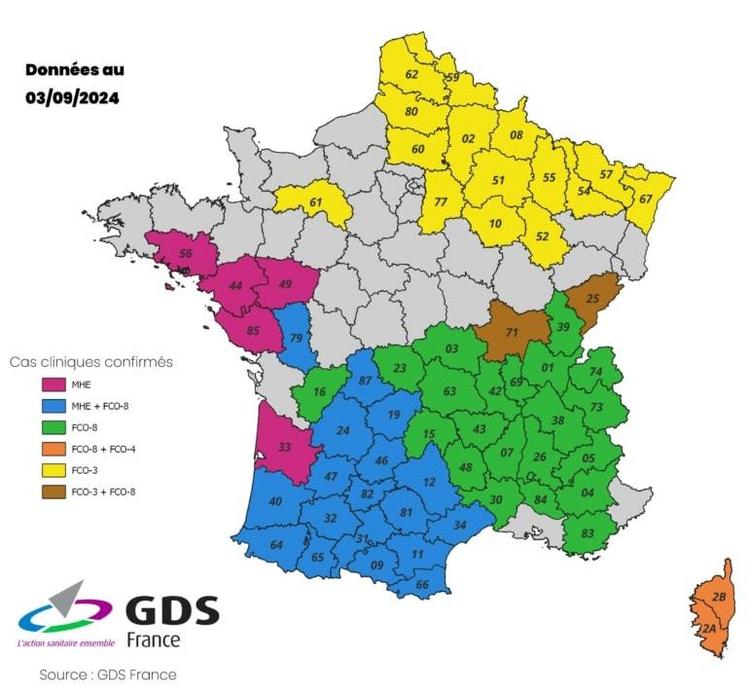 Carte des maladies FCO 3 & 8 + MHE au 3 septembre 2024.