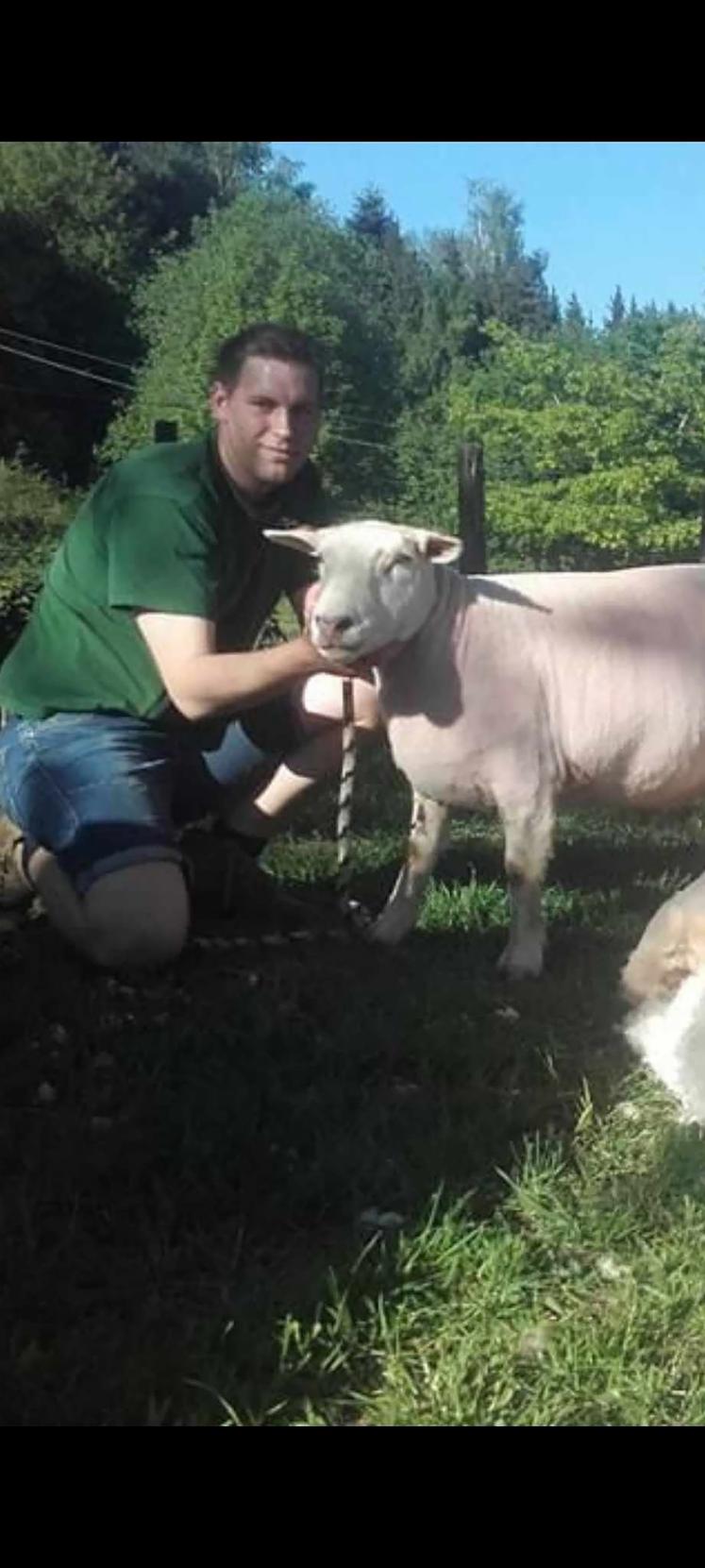 Aurélien Evrard élève des Texel en Wallonie. 