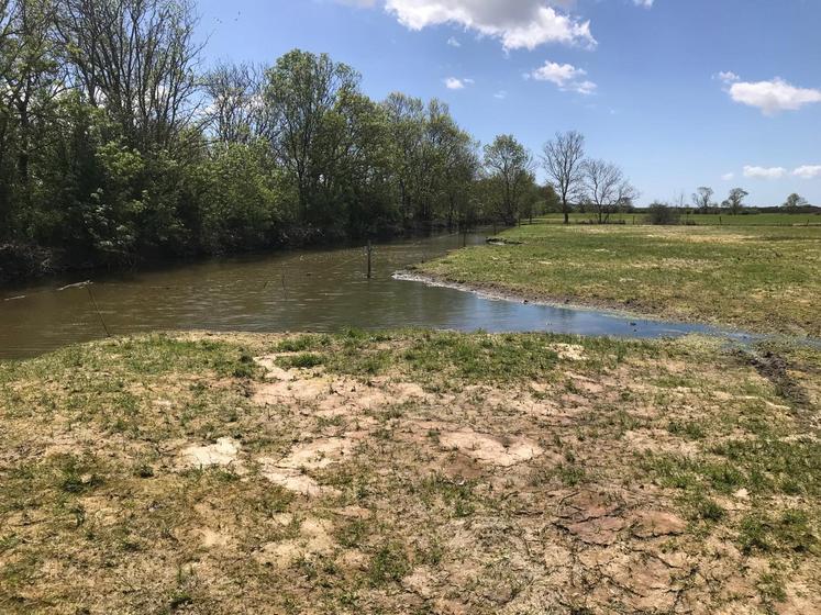 Prairie dans la cuvette de Nuaillé au 15 mai 2024 après plusieurs mois sous l'eau.