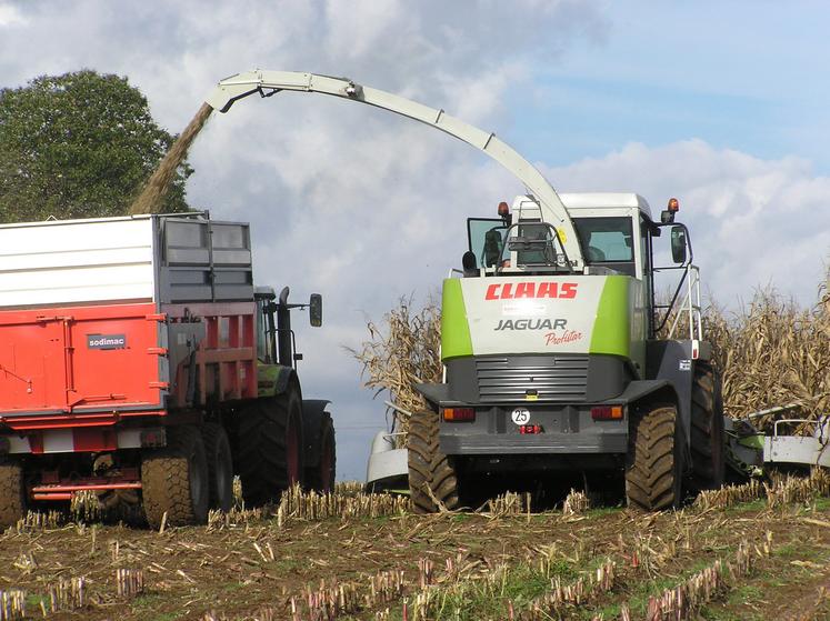 Les ensilages ont débuté timidement en Deux-Sèvres en ce tout début septembre.