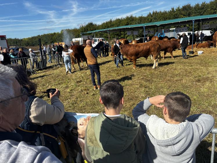 Le public a suivi les présentations des animaux, annonce des résultats du concours et commentaires des juges. 