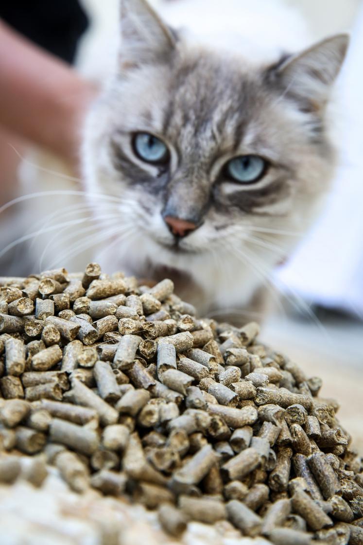 La litière Ami'Lit est fabriquée à partir de paille produite localement.