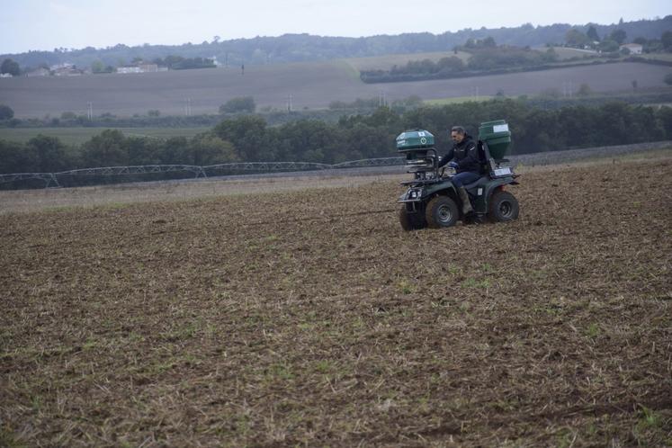 L'épandeur Spando TDS de De Sangosse (ici placé à l'avant du quad) permet de distribuer les granulés anti-limaces de manière homogène dans la parcelle.