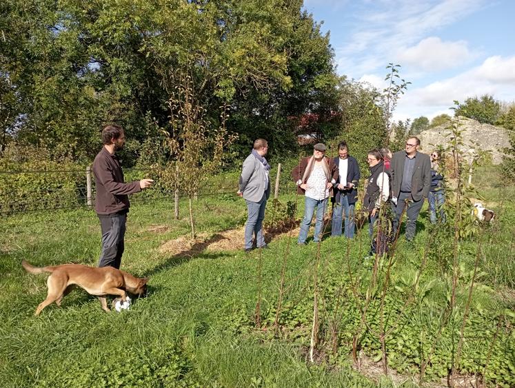 Visite du verger avec Thomas Gouello ponctuée par de multiples échanges.