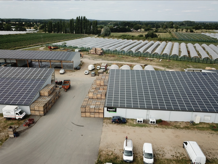 À l'Angevine, exploitation maraîchère bio, une partie de l'électricité produite est autoconsommée pour la station de conditionnement et l'irrigation.