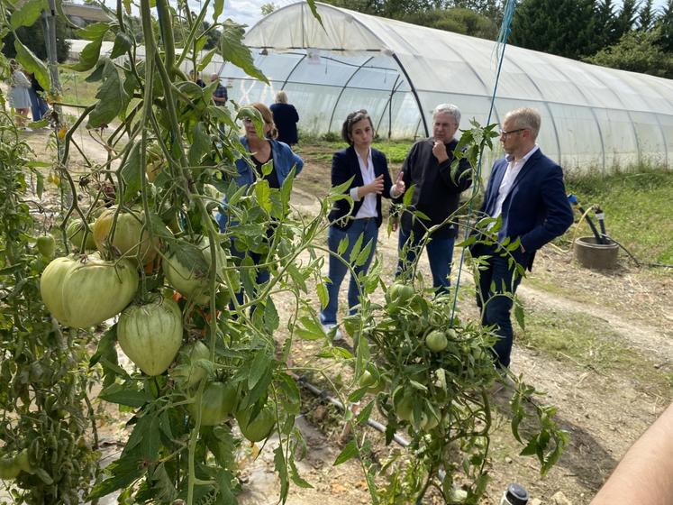 Le chantier d'insertion par le maraîchage bio des Jardins du Bandiat-CIDIL va s'installer à Montbron, dans les serres du maraîcher Éric Quément.