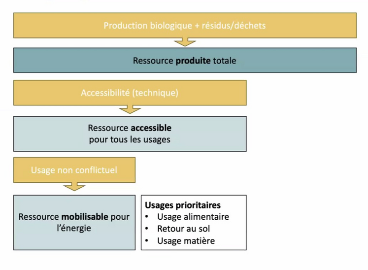 Les ressources destinées à l'énergie ne représentent qu'une petite partie de la production, l'usage alimentaire et le retour au sol étant prioritaires.