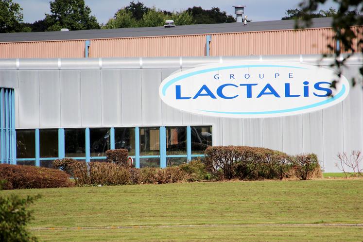 Le groupe Lactalis a dénoncé le contrat d'une centaine de producteurs dans la région.