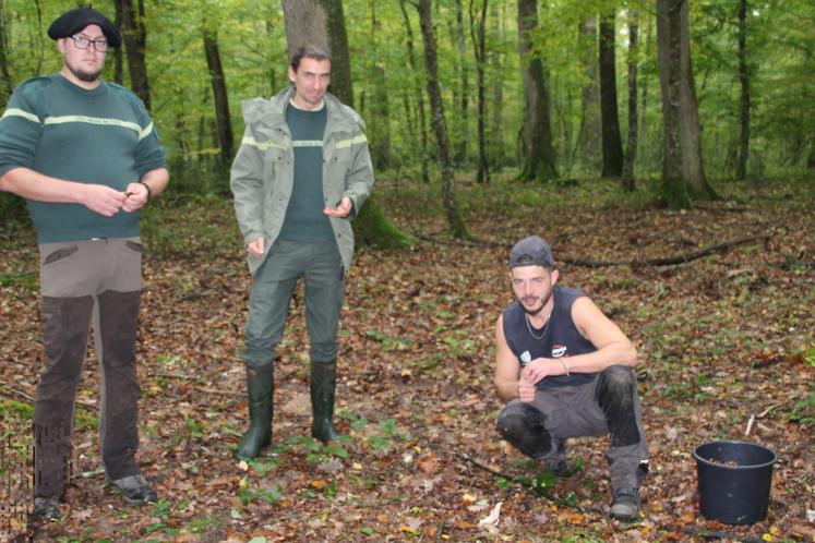 De gauche à droite : Kevin Claveau, technicien forestier territorial en Forêt de Moulière, Guillaume Labarre responsable départemental de la Vienne et le Nord Deux-Sèvres, aux côtés de Jérémy, ramasseurs de glands.