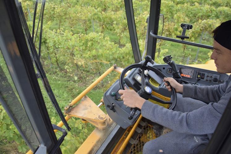 Dans la machine à vendanger, Pierre est à la manœuvre.