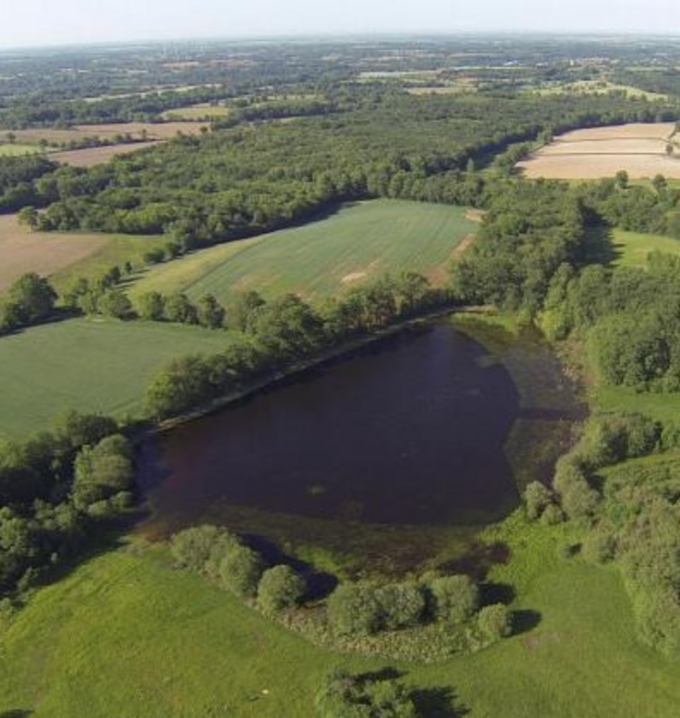 Le bocage des Antonins se compose d'un étang de 2,5 hectares, de 8 mares, des prairies de fauche plus ou moins humides ou de pâturage extensif, haies...