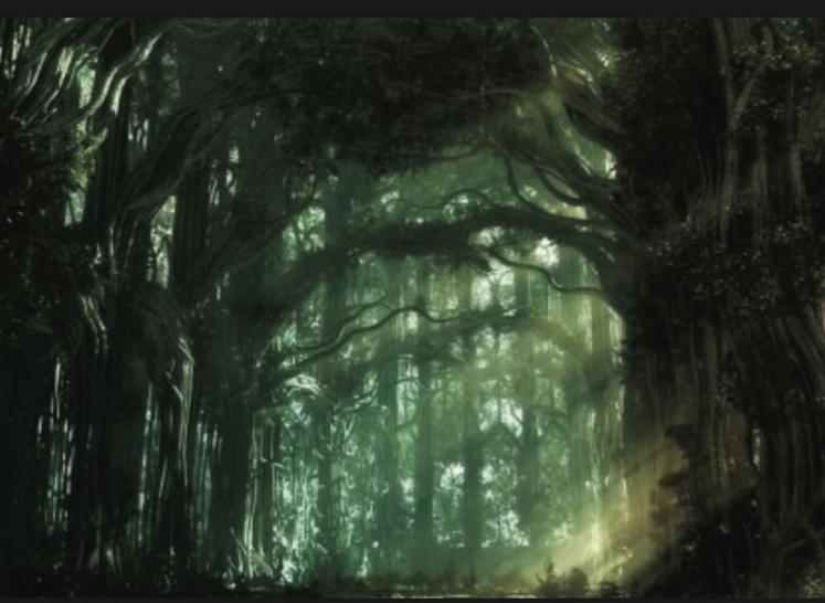 la forêt de Lindhurst