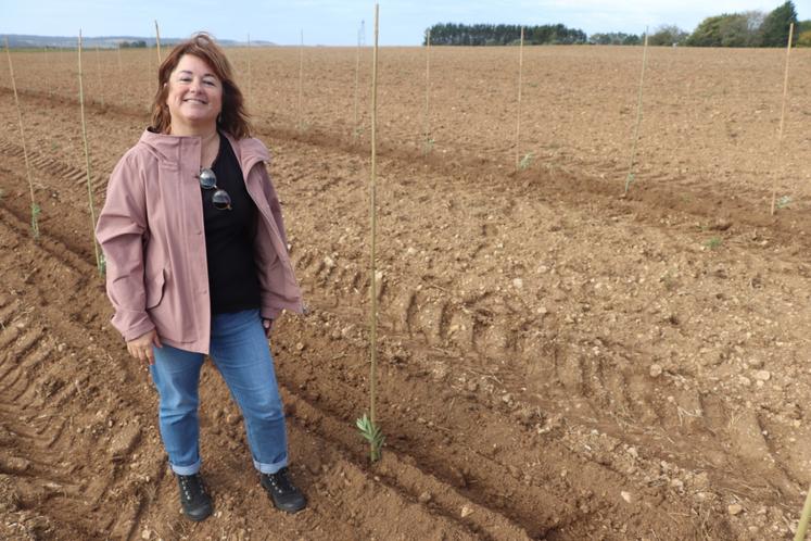 Laetitia Plumat, agricultrice à Fouquebrune, devant sa future plantation d'oliviers.