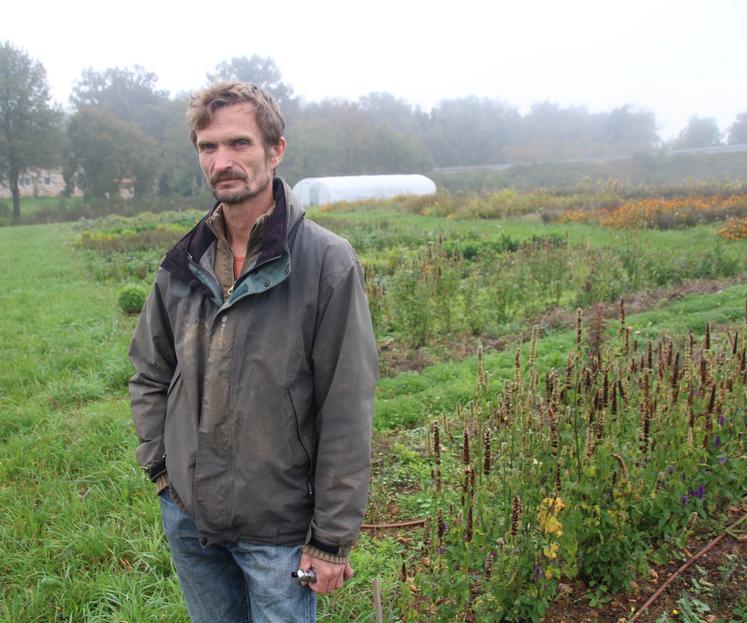 Les fleurs comestibles: des saveurs à part que cultive Samuel Vergnory.