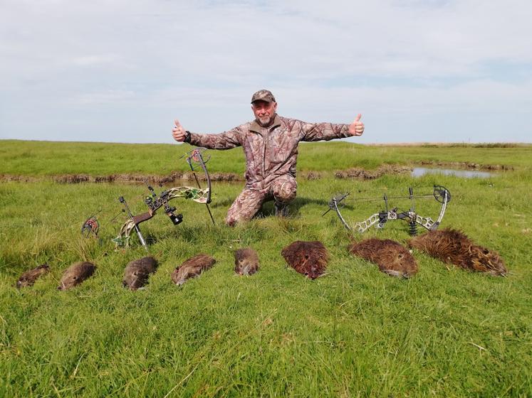 Les ragondins sont une cible privilégiée des chasseurs à l'arc : « ça permet de s'affûter », confie leur président départemental, Michel Allart.