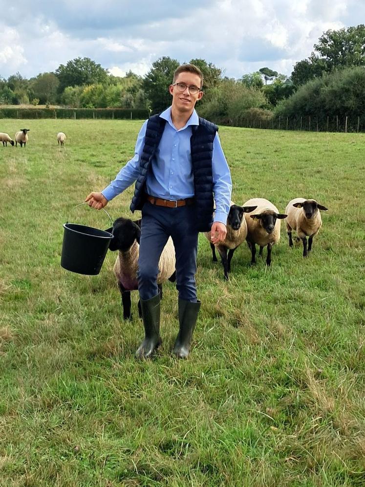 Valentin Saulnier dans son élément, au milieu des ovins.