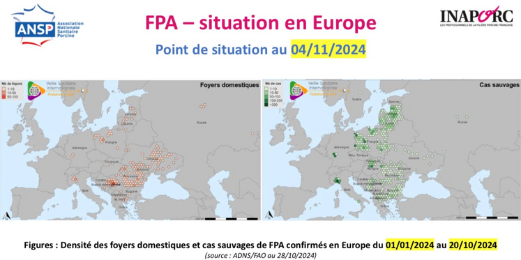 Densité des foyers domestiques et cas sauvages de FPA confirmés en Europe au 28 octobre 2024.