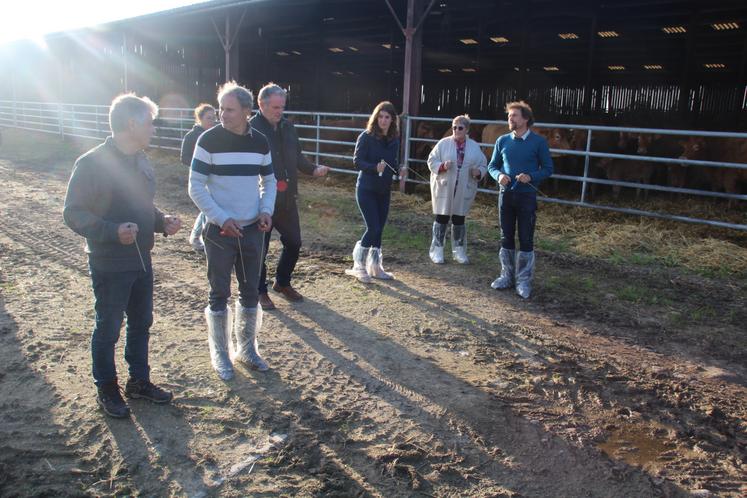 Les participants ont vu comment une baguette de sourcier peut réagir aux différences de potentiel électrique.