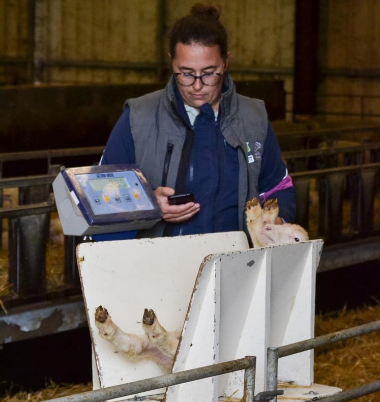 Le contrôle de performances facilite l'estimation du potentiel génétique de chaque animal, rappelle l'Adev.