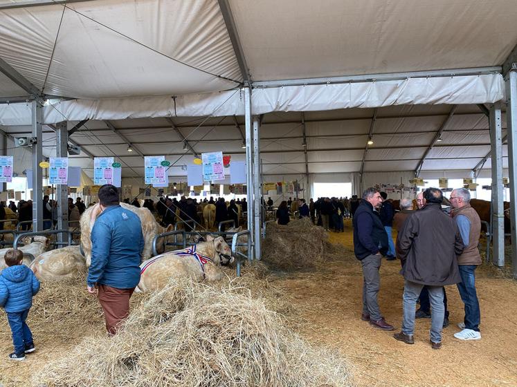 Le chapiteau des animaux a accueilli de nombreuses races.