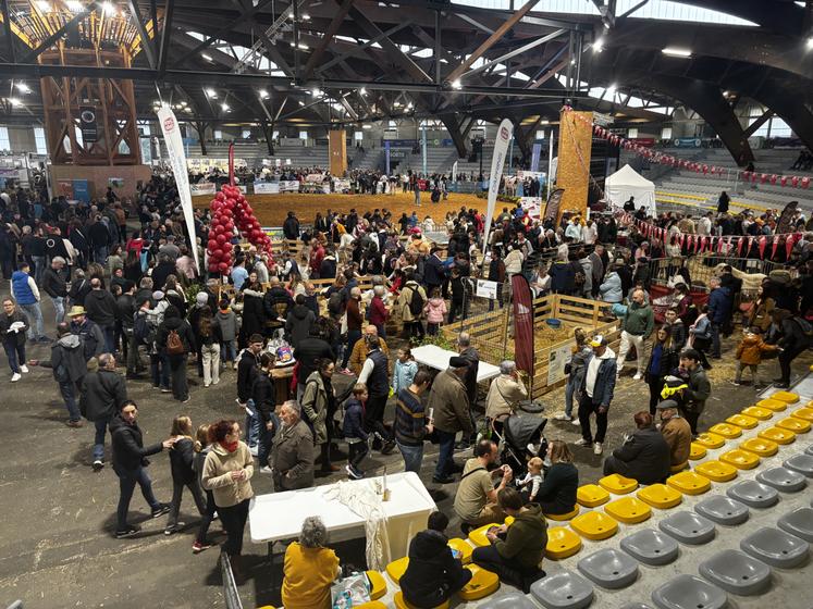 Les allées des Arènes et du Hall B ont parfois été saturées de visiteurs.