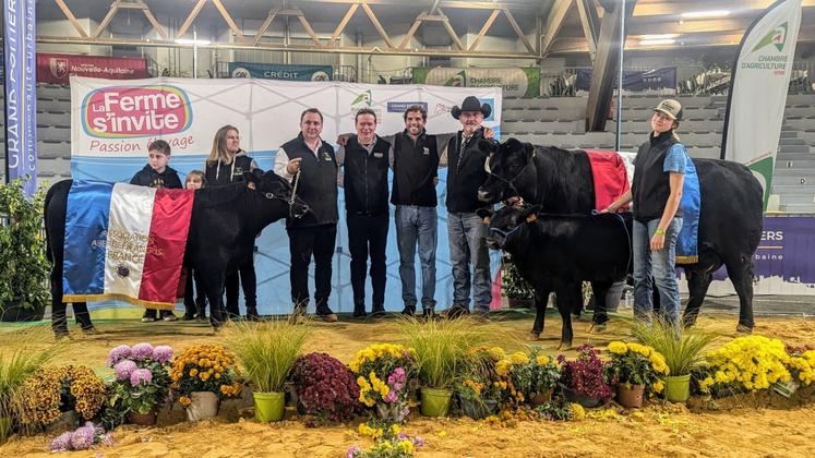 Les Angus ont été présentés suite à la vente aux enchères. Les juges William Mc Laren et João Diogo Ferreira ont élu meilleure femelle la vache Road Runner, appartenant au Gaec du Cèdre, à Surin (86) et meilleur mâle, JCGValenti, de l'Earl Gendro (33).