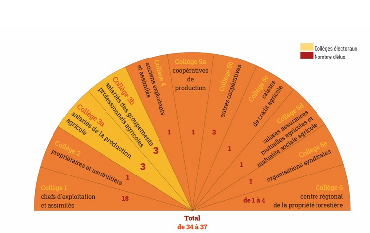 Répartition des collèges électoraux qui composent la session d'une chambre départementale et territoriale.