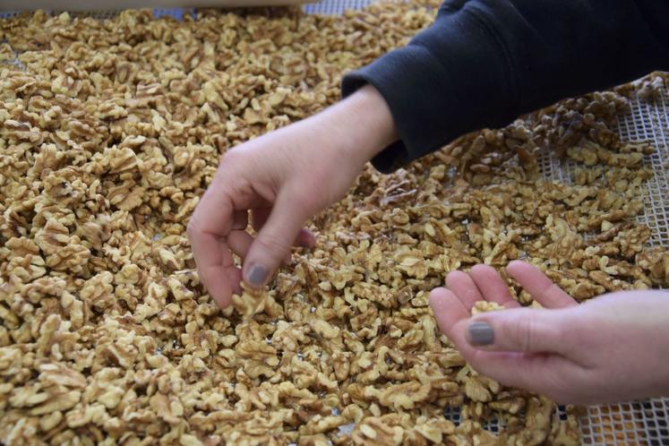 Le plan d'urgence de la filière est estimé par InterNoix à plus de 20 millions d'euros.