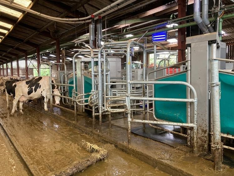 Le robot DairyRobot R9500 de GEA présente l'avantage de disposer d'une unité de service conçue pour desservir plusieurs stalles.