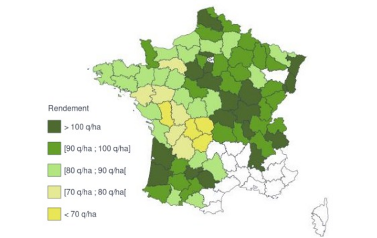 Estimation précoce de rendements de maïs grain 2024 (hors semences), au 12 novembre.