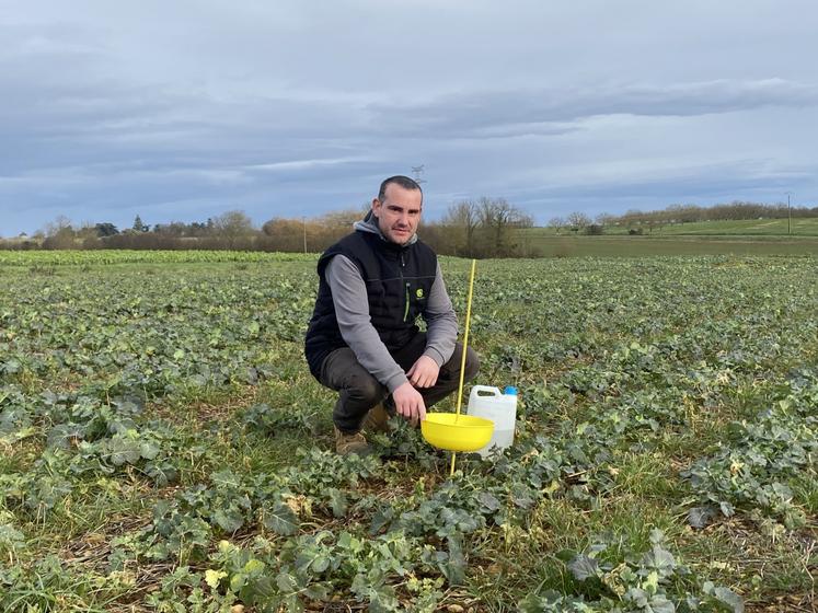 Thomas Charruault utilise les données qu'il fait remonter au niveau Poitou-Charentes pour mieux connaître l'état sanitaire de ses parcelles.