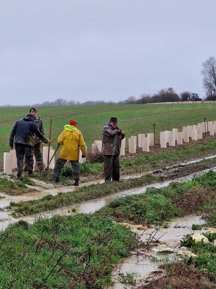 Malgré les précipitations, 500 m de haie ont été plantés.