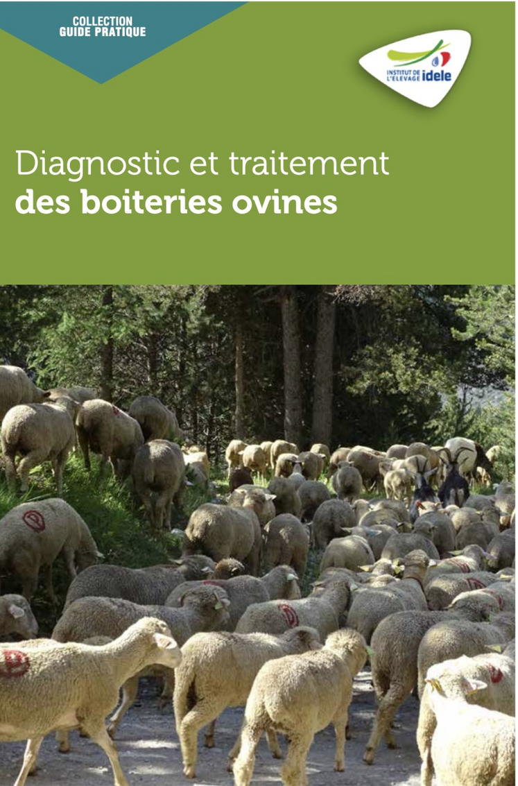 Le guide de 50 pages est disponible gratuitement.