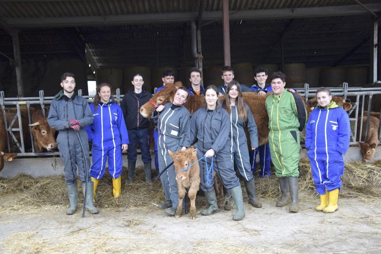Élèves italiens et français étaient réunis quelques jours en janvier pour s'entraîner à manipuler Samoussa et son petit Vinaigre.