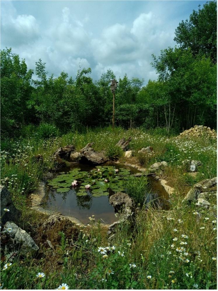 De nombreuses infrastructures agroécologiques sur l'exploitation offrent un gîte accueillant aux chauves-souris.