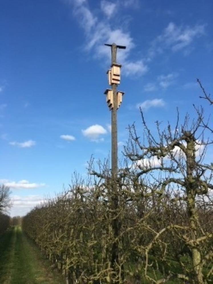 Un des 60 nichoirs installés.