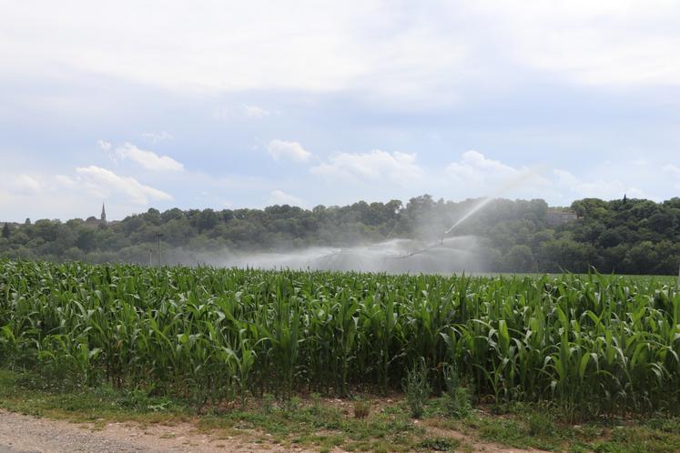 Selon Philippe Barneron, la campagne d'irrigation 2024 a plutôt été "facile". Et 2025 commence sous de bons auspices.