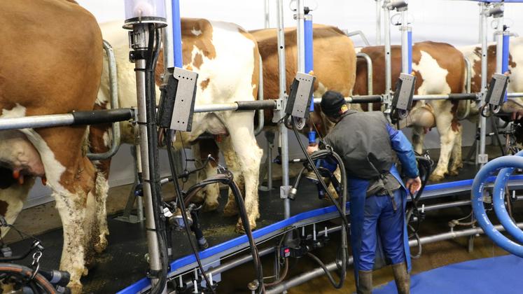 Le taux de matière grasse moyen du lait produit en France remonte depuis la fin des quotas il y a dix ans, grâce à la génétique et l'alimentation.