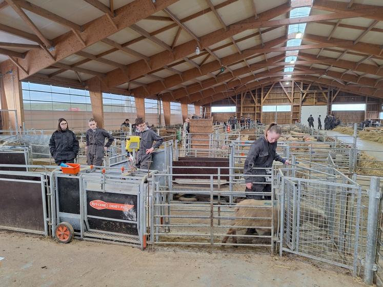 Les élèves ont passé deux épreuves théoriques et cinq épreuves pratiques.