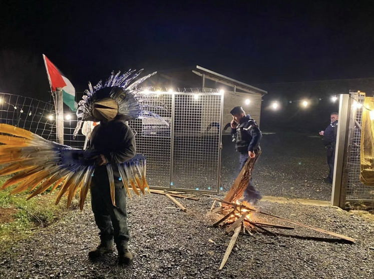 Déguisés en outarde, les opposants ont forcé les barrières de protection, le 18 décembre.