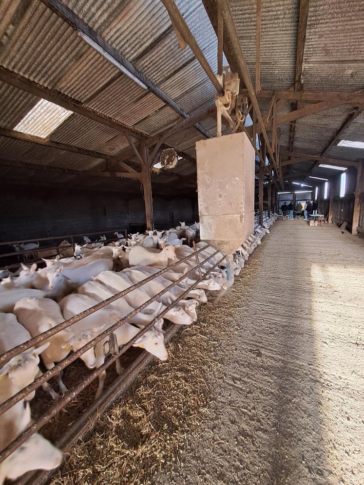Le Gaec de Chépi, en Vendée, a lancé une réflexion sur l'installation de panneaux photovoltaïques.