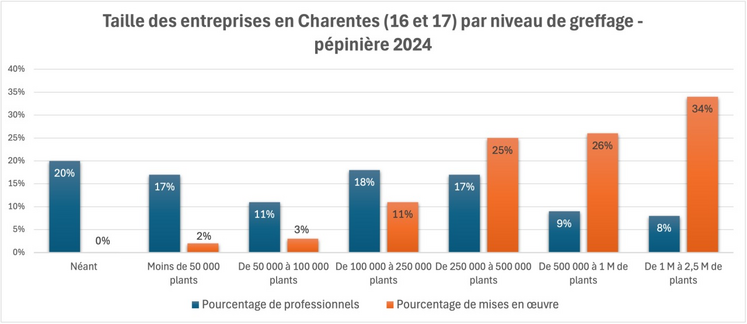 La création de nouveaux plants chute dans les Charentes (-45 %), passant de plus 30 millions à moins de 16,5 millions. La Charente-Maritime (12,4 M) demeure le premier département producteur de la région, mais se rapproche des chiffres de la Gironde (10,7 M). Chiffres : FranceAgriMer / AG des pépiniéristes de la Gironde et du Sud Ouest.