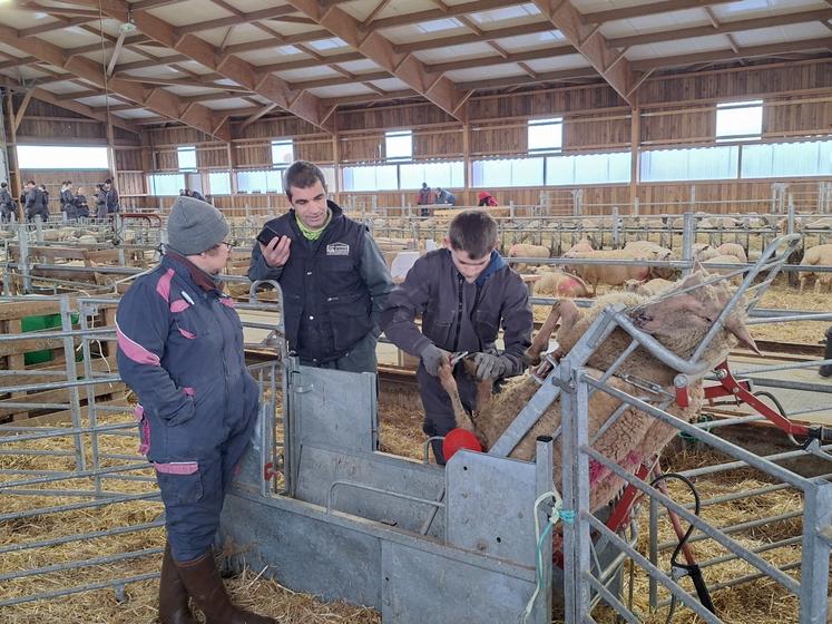 Lors de chaque épreuve, les éleveurs étaient évalués par un professionnel de la filière et un éleveur.