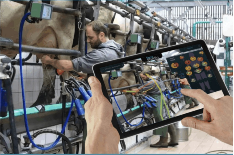 Chaque articulation est analysée et un code couleur s'affiche lors de chaque mouvement.