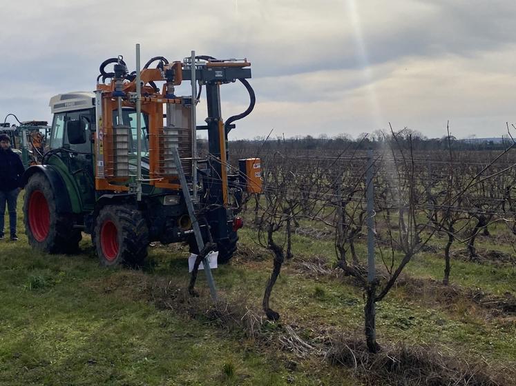 Faut-il mécaniser la prétaille et la taille de son vignoble pour réduire ses coûts ? C'était l'enjeu de la journée organisée par les Cuma des Charentes.