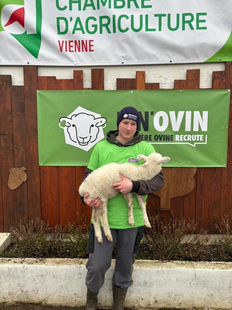 Valentin Ramade participera à la finale nationale des 20èmes Ovinpiades des jeunes bergers.